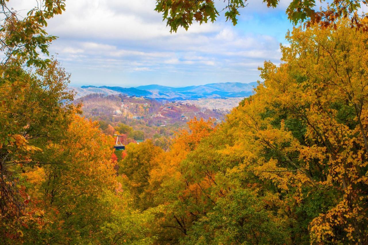 Serenity Heights, Amazing Views, Hot Tub Pool Access, 1089 Free Tickets Each Paid Day, Dollywood Гатлинбург Экстерьер фото